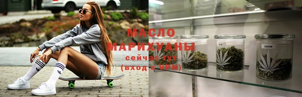 индика Володарск