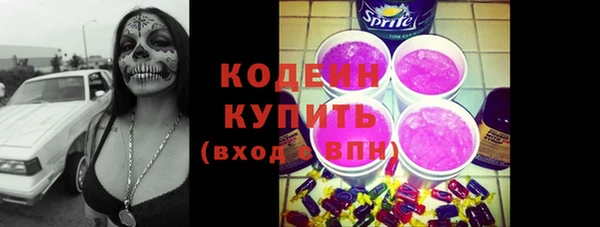 твердый Вяземский