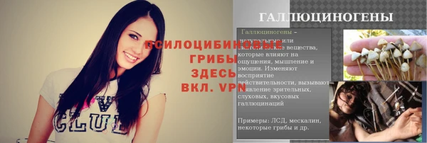 герыч Бородино