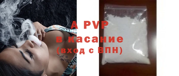 индика Володарск