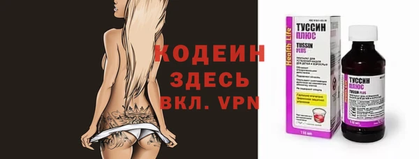 твердый Вяземский
