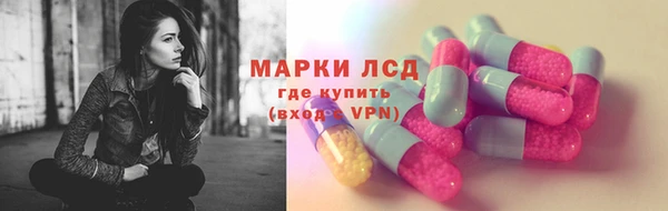 индика Володарск