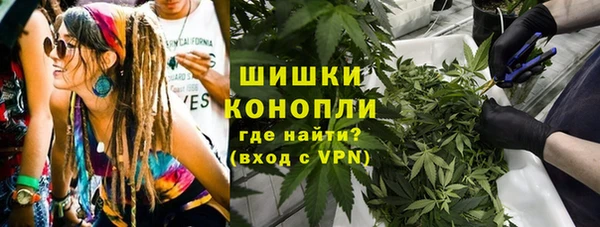 твердый Вяземский