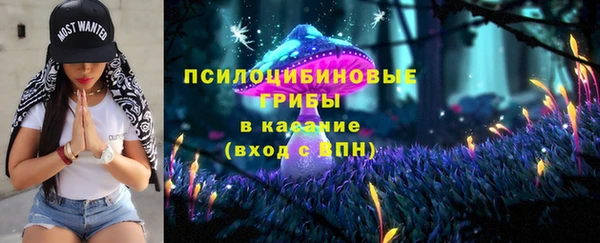 твердый Вяземский