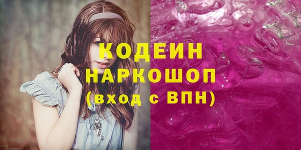 индика Володарск