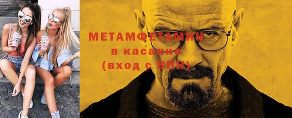 индика Володарск