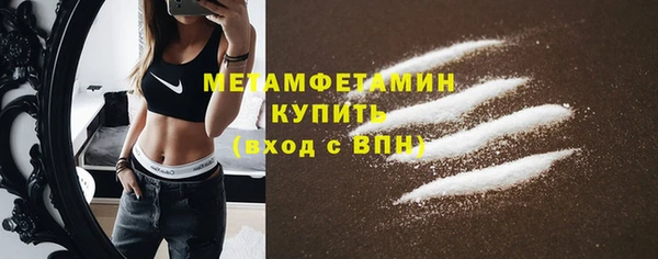индика Володарск
