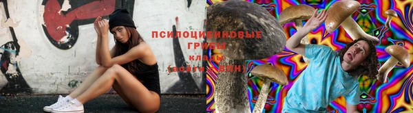 прущие крисы Волоколамск