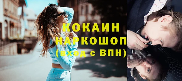 твердый Вяземский