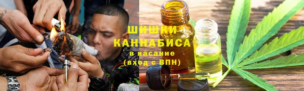 индика Володарск