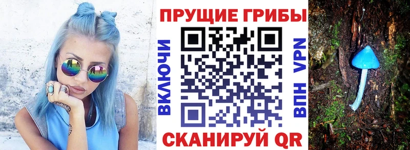 Псилоцибиновые грибы ЛСД  купить закладку  Давлеканово 
